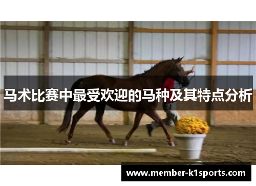 马术比赛中最受欢迎的马种及其特点分析